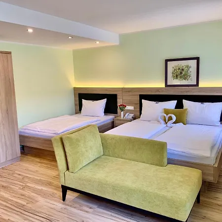 ホテル Zur Flueh 3*