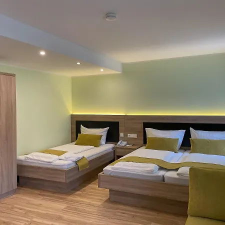 ホテル Zur Flueh 3*