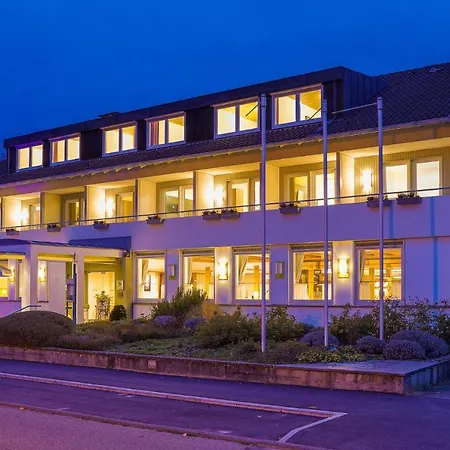 Zur Flueh ホテル 3*