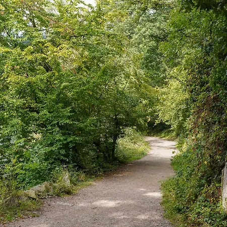 Zur Flueh