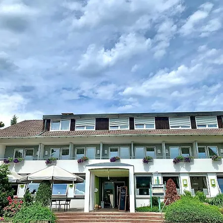Hotel Zur Flueh 3*