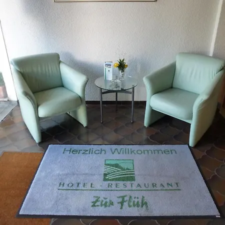 Hotel Zur Flueh